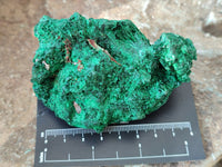 Natural Silky Malachite Specimens x 3 From Kasompe, Congo - Toprock Gemstones and Minerals 