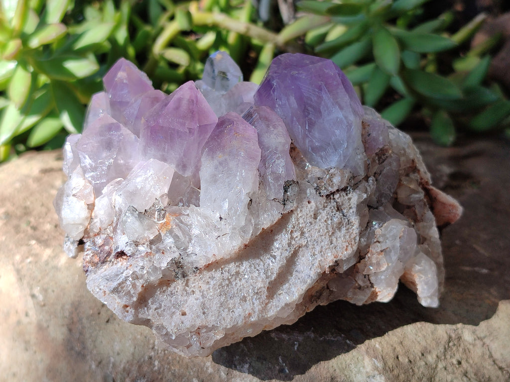 Natural Jacaranda Amethyst Quartz Clusters x 2 from Mumbwa, Zambia - Toprock Gemstones and Minerals 