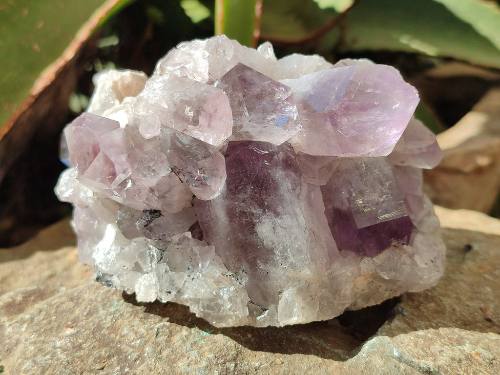 Natural Jacaranda Amethyst Quartz Clusters x 2 from Mumbwa, Zambia - Toprock Gemstones and Minerals 