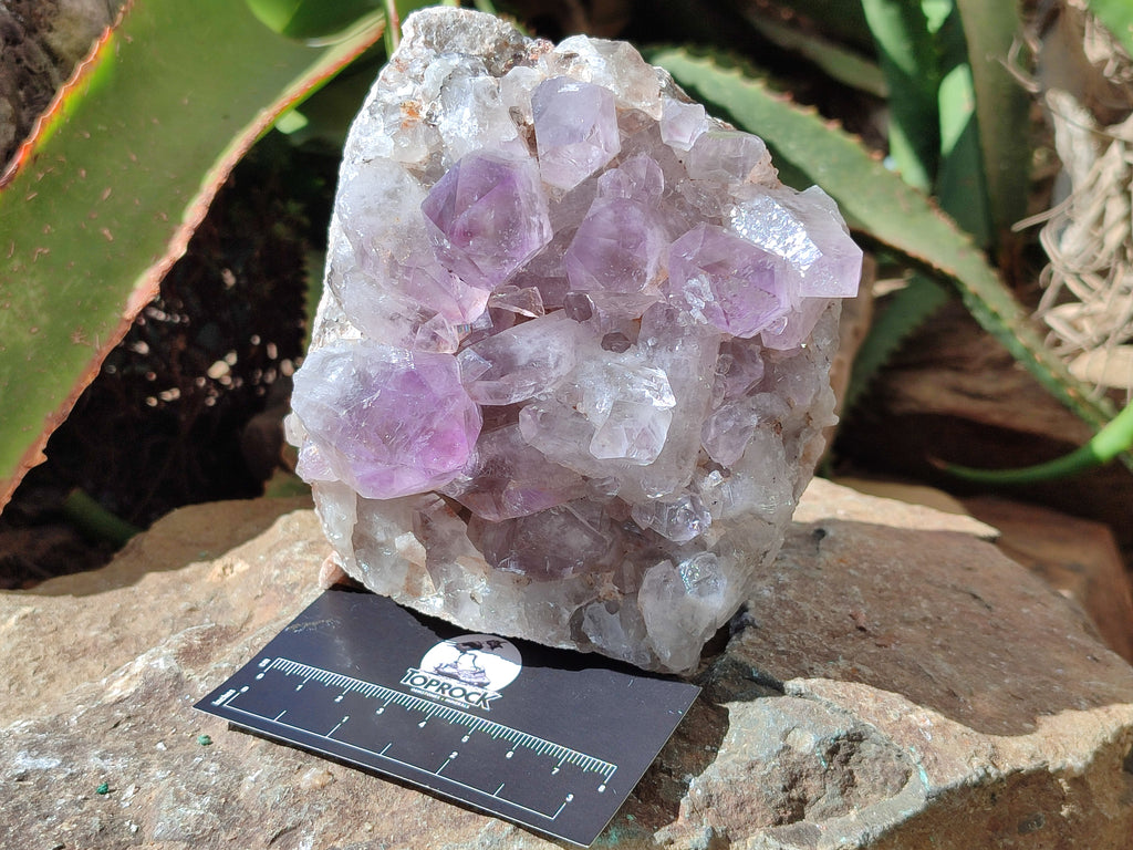 Natural Jacaranda Amethyst Quartz Clusters x 2 from Mumbwa, Zambia - Toprock Gemstones and Minerals 