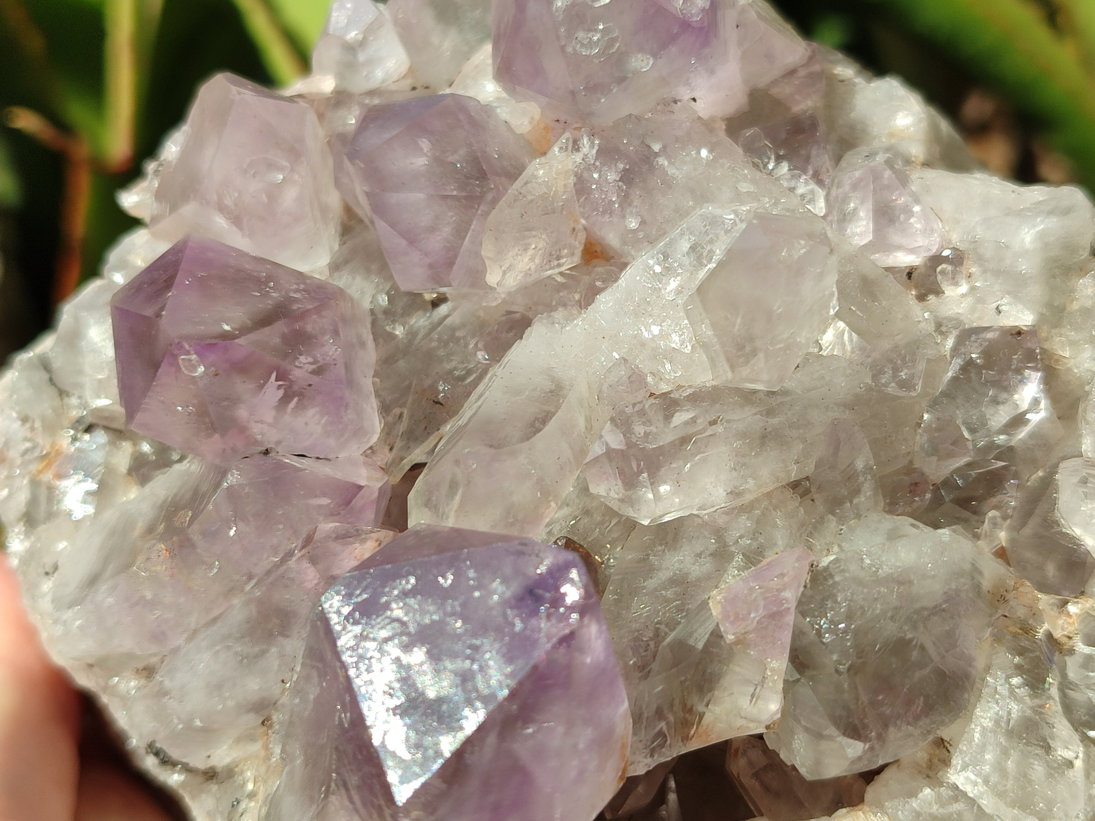 Natural Jacaranda Amethyst Quartz Clusters x 2 from Mumbwa, Zambia - Toprock Gemstones and Minerals 