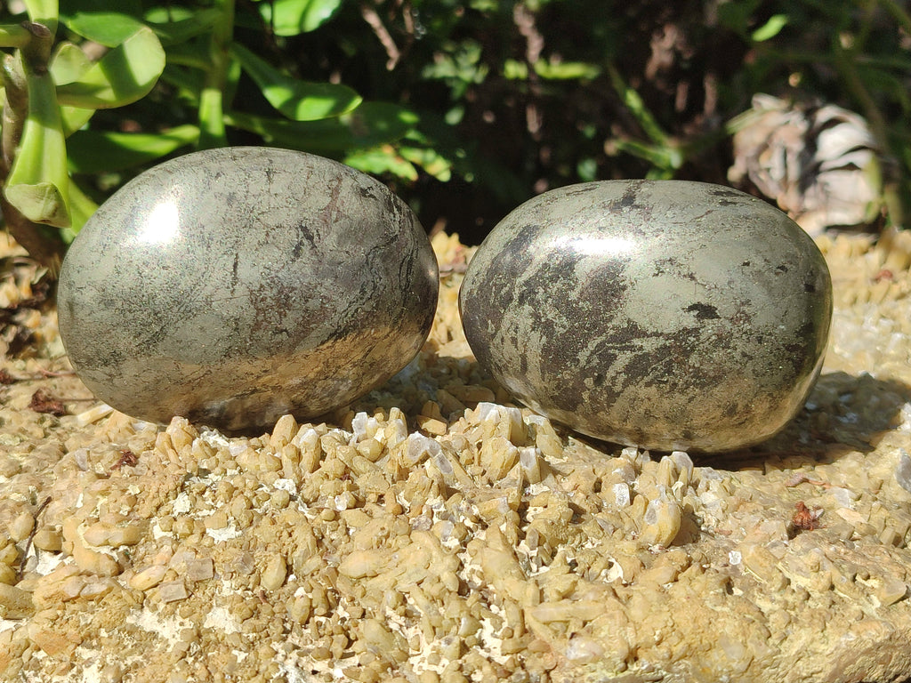 Polished Pharaoh Stone Free Forms x 6 From Zimbabwe - Toprock Gemstones and Minerals 