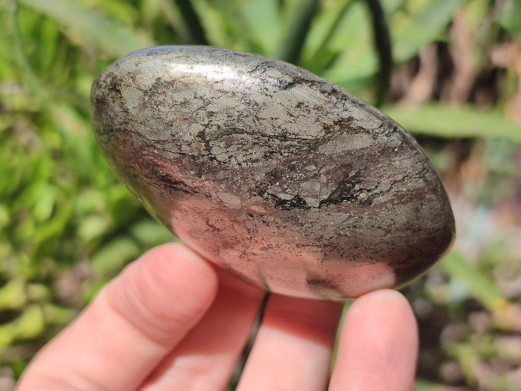 Polished Pharaoh Stone Free Forms x 6 From Zimbabwe - Toprock Gemstones and Minerals 