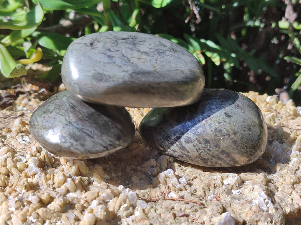 Polished Pharaoh Stone Free Forms x 6 From Zimbabwe - Toprock Gemstones and Minerals 