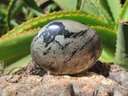 Polished Pharaoh Stone Free Forms x 6 From Zimbabwe - Toprock Gemstones and Minerals 