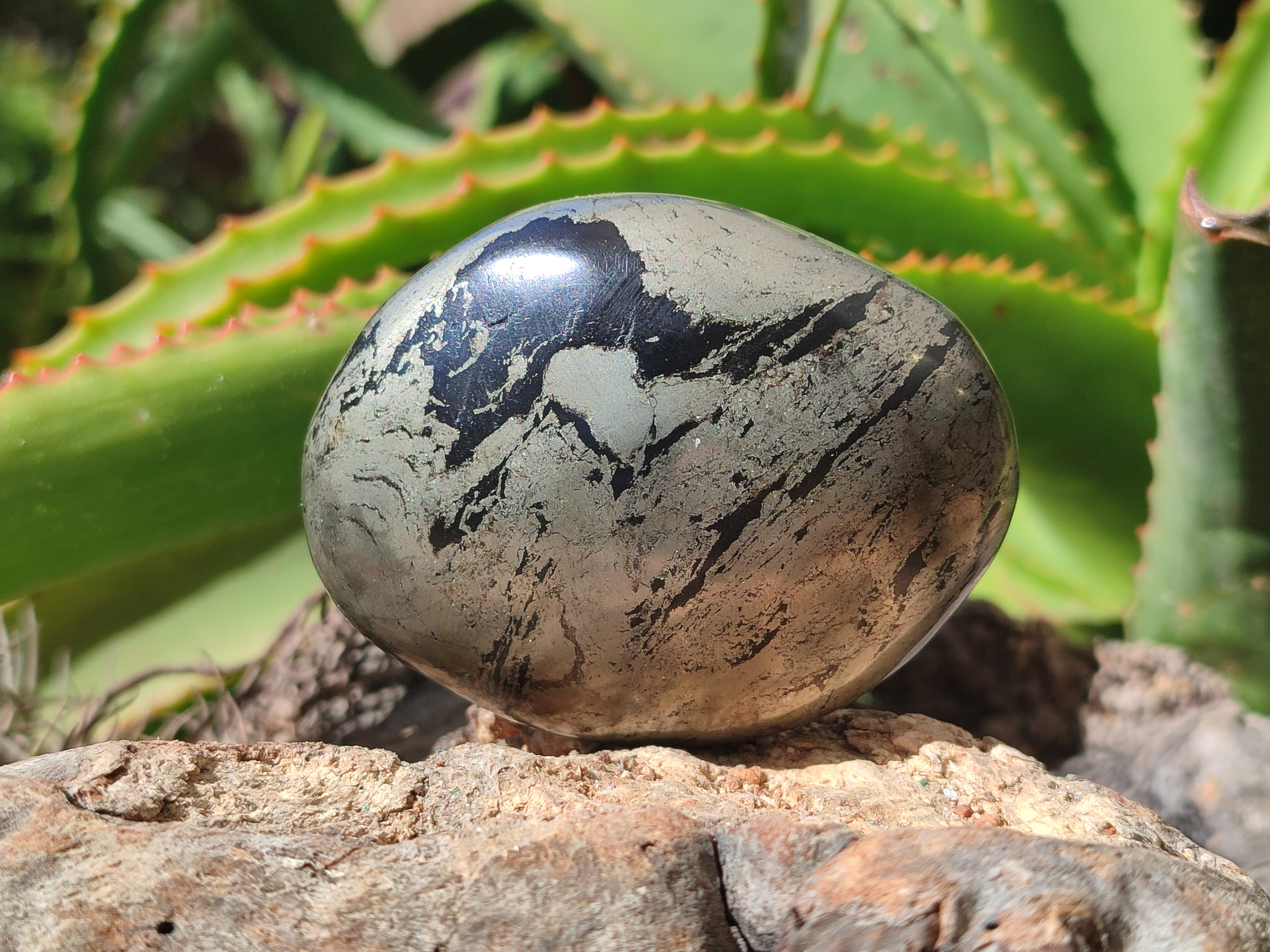 Polished Pharaoh Stone Free Forms x 6 From Zimbabwe - Toprock Gemstones and Minerals 