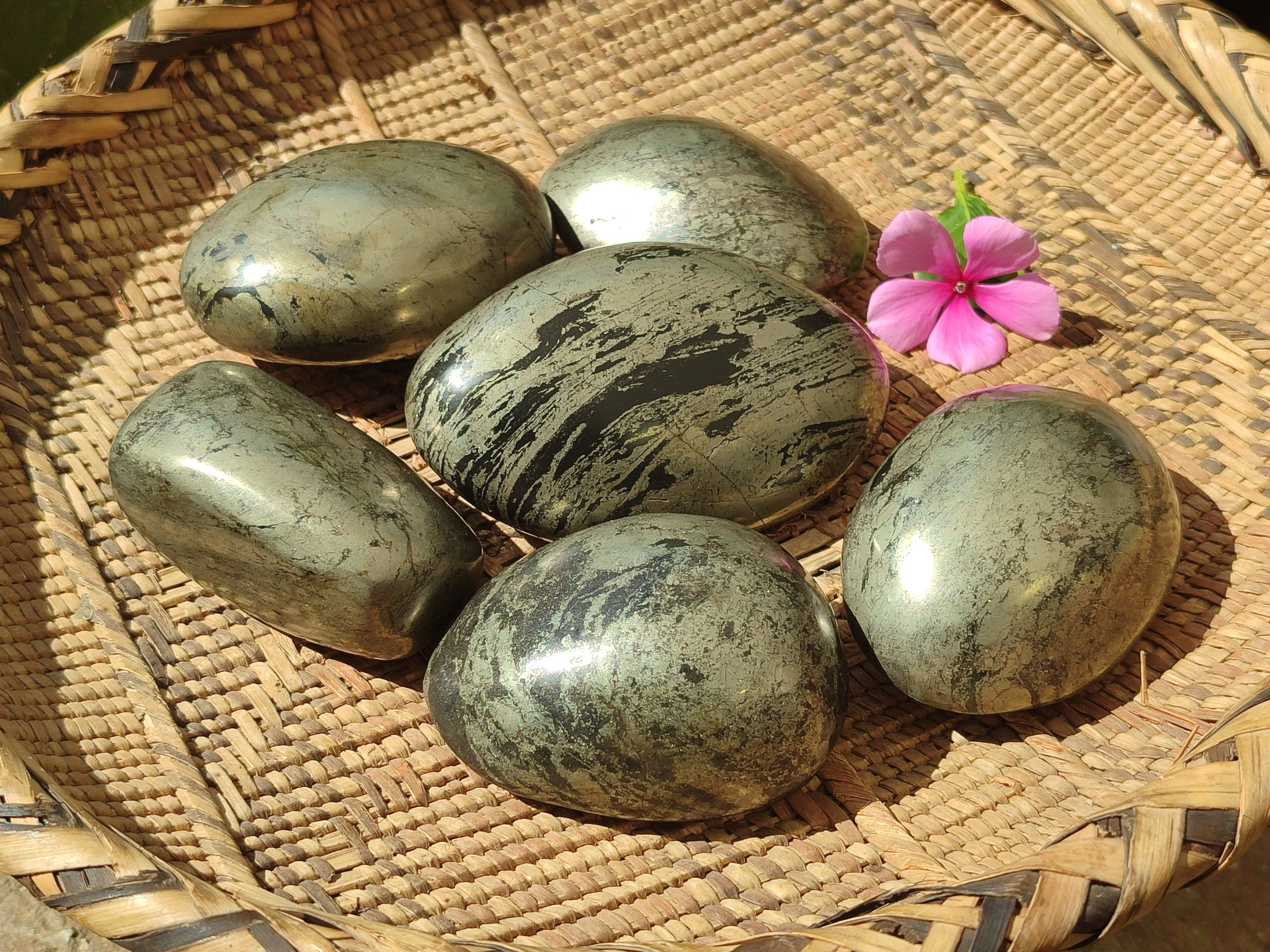 Polished Pharaoh Stone Free Forms x 6 From Zimbabwe - Toprock Gemstones and Minerals 