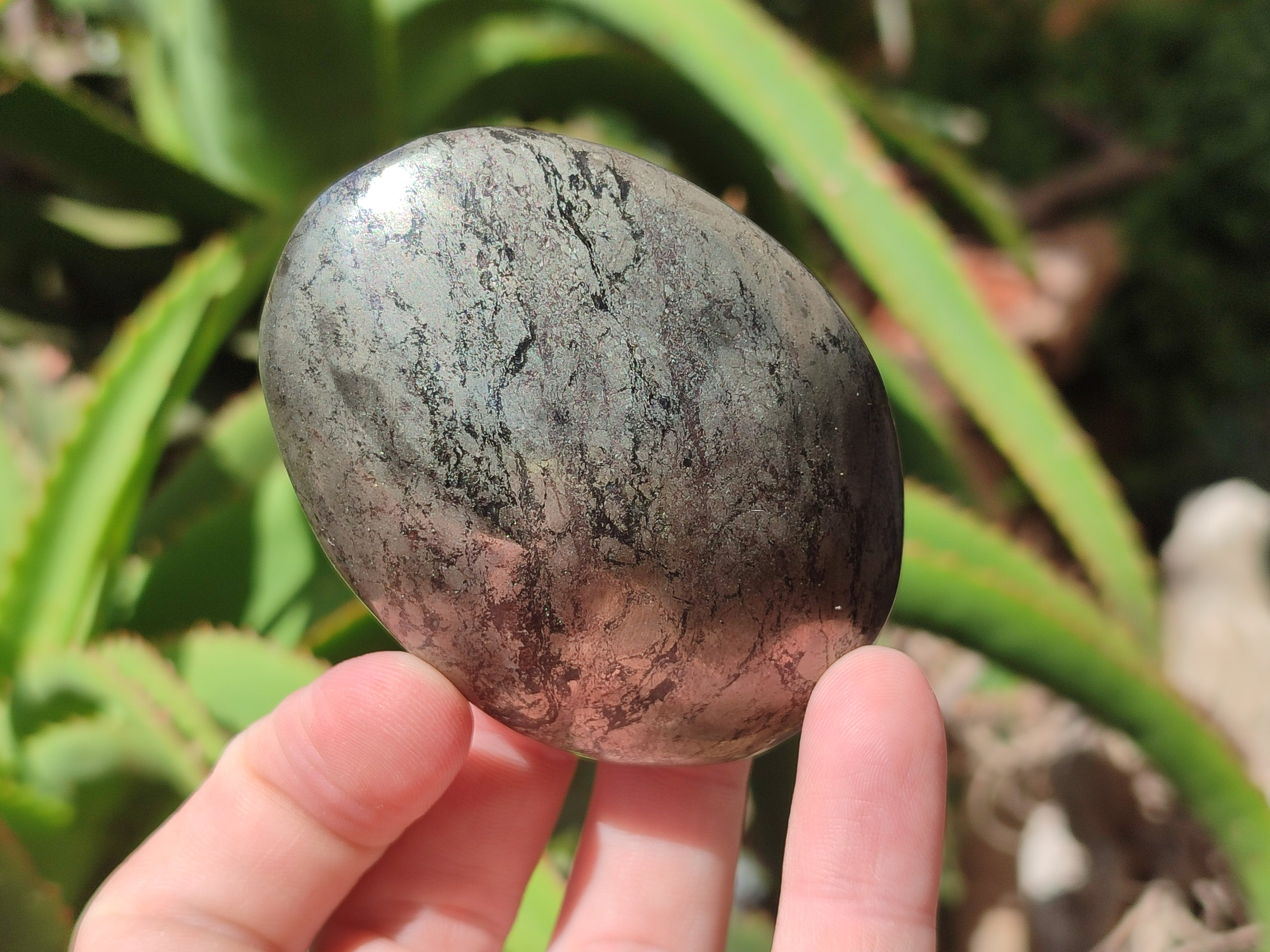 Polished Pharaoh Stone Free Forms x 6 From Zimbabwe - Toprock Gemstones and Minerals 