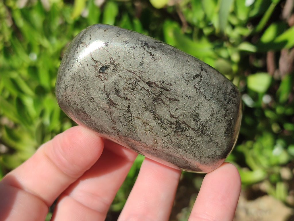 Polished Pharaoh Stone Free Forms x 6 From Zimbabwe - Toprock Gemstones and Minerals 