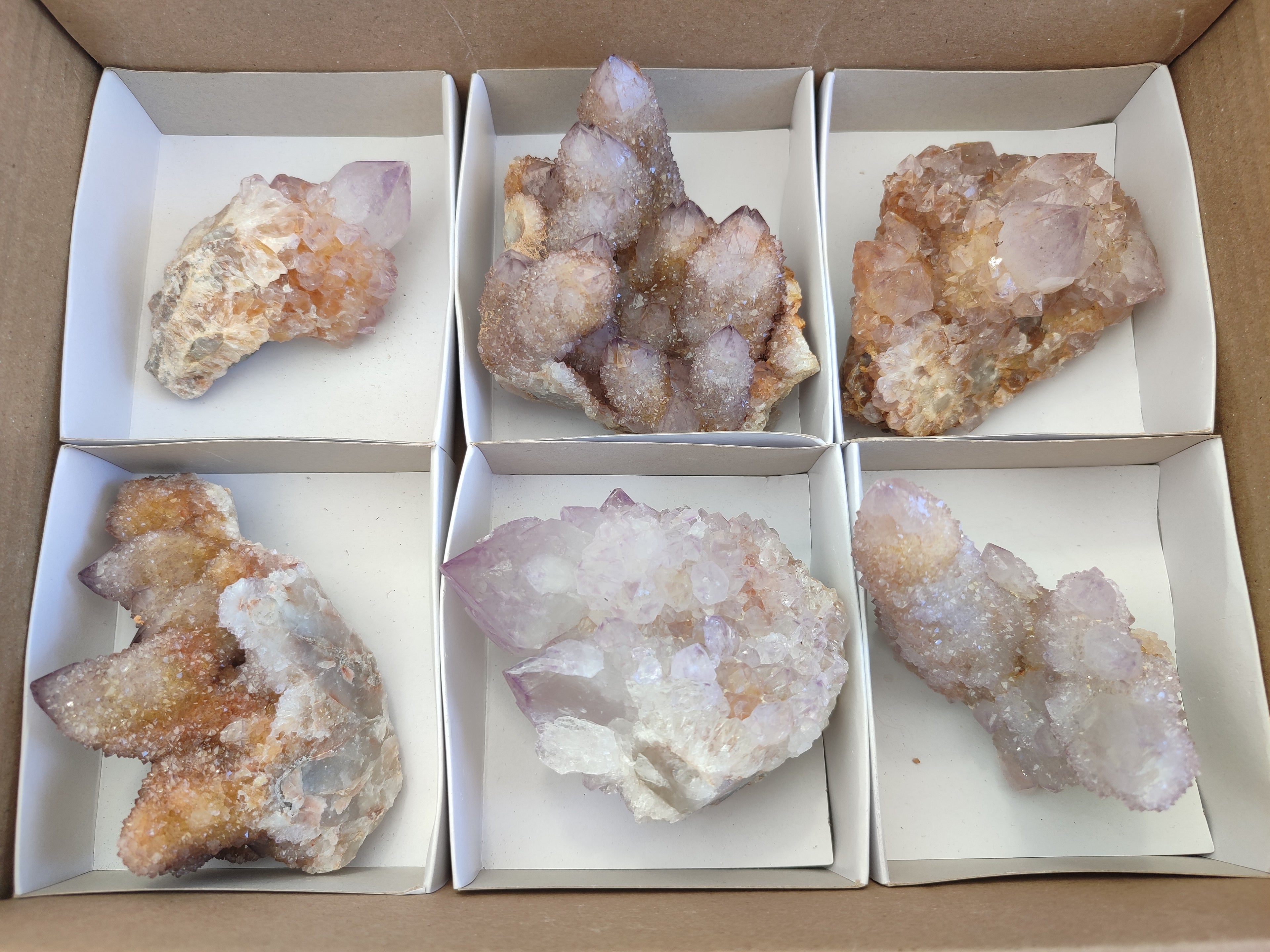 Natural Cactus Flower Spirit Quartz Clusters x 6 From Boekenhouthoek, South Africa - Toprock Gemstones and Minerals 