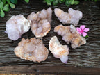 Natural Cactus Flower Spirit Quartz Clusters x 6 From Boekenhouthoek, South Africa - Toprock Gemstones and Minerals 