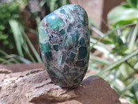 Polished Rare Emerald Mica In Matrix Standing Free Forms x 6 From Mutoko, Zimbabwe - Toprock Gemstones and Minerals 