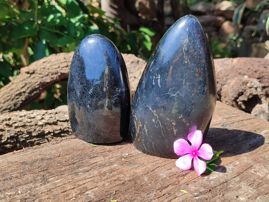 Polished Black Tourmaline Standing Free Forms x 2 From Madagascar - Toprock Gemstones and Minerals 