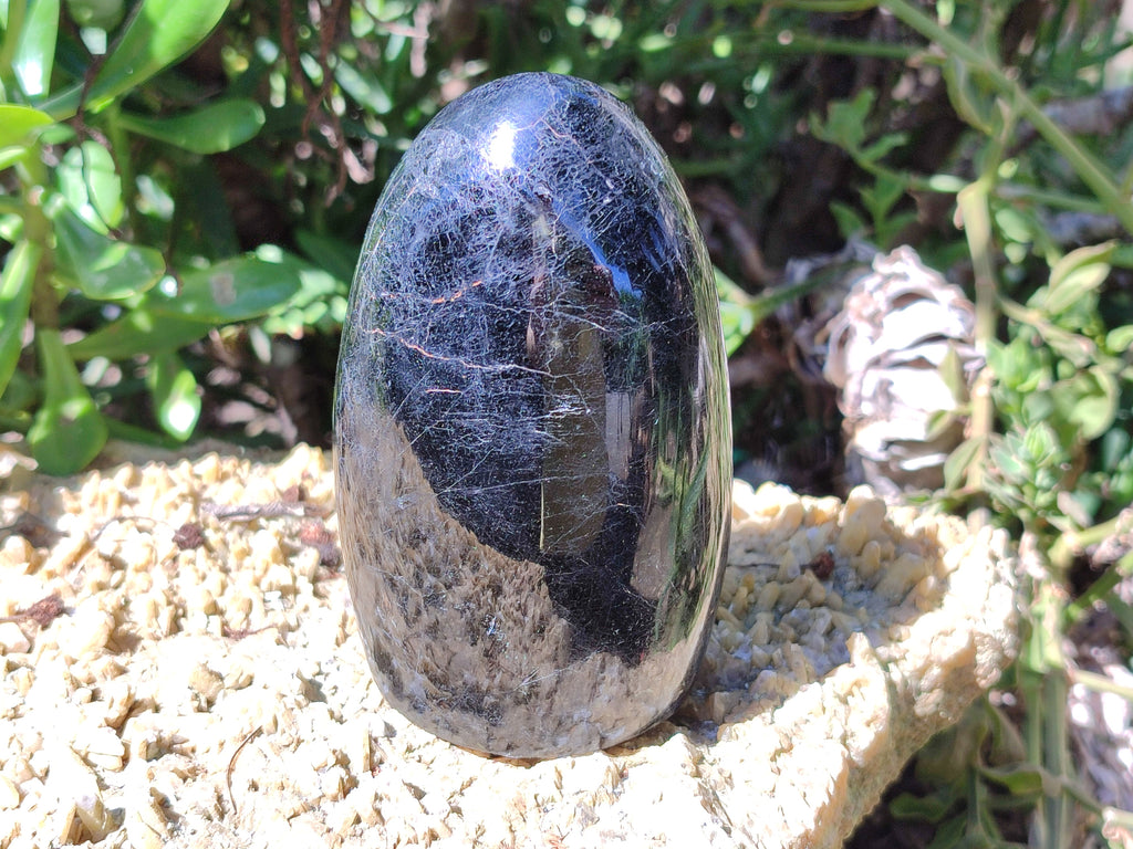 Polished Black Tourmaline Standing Free Forms x 2 From Madagascar - Toprock Gemstones and Minerals 
