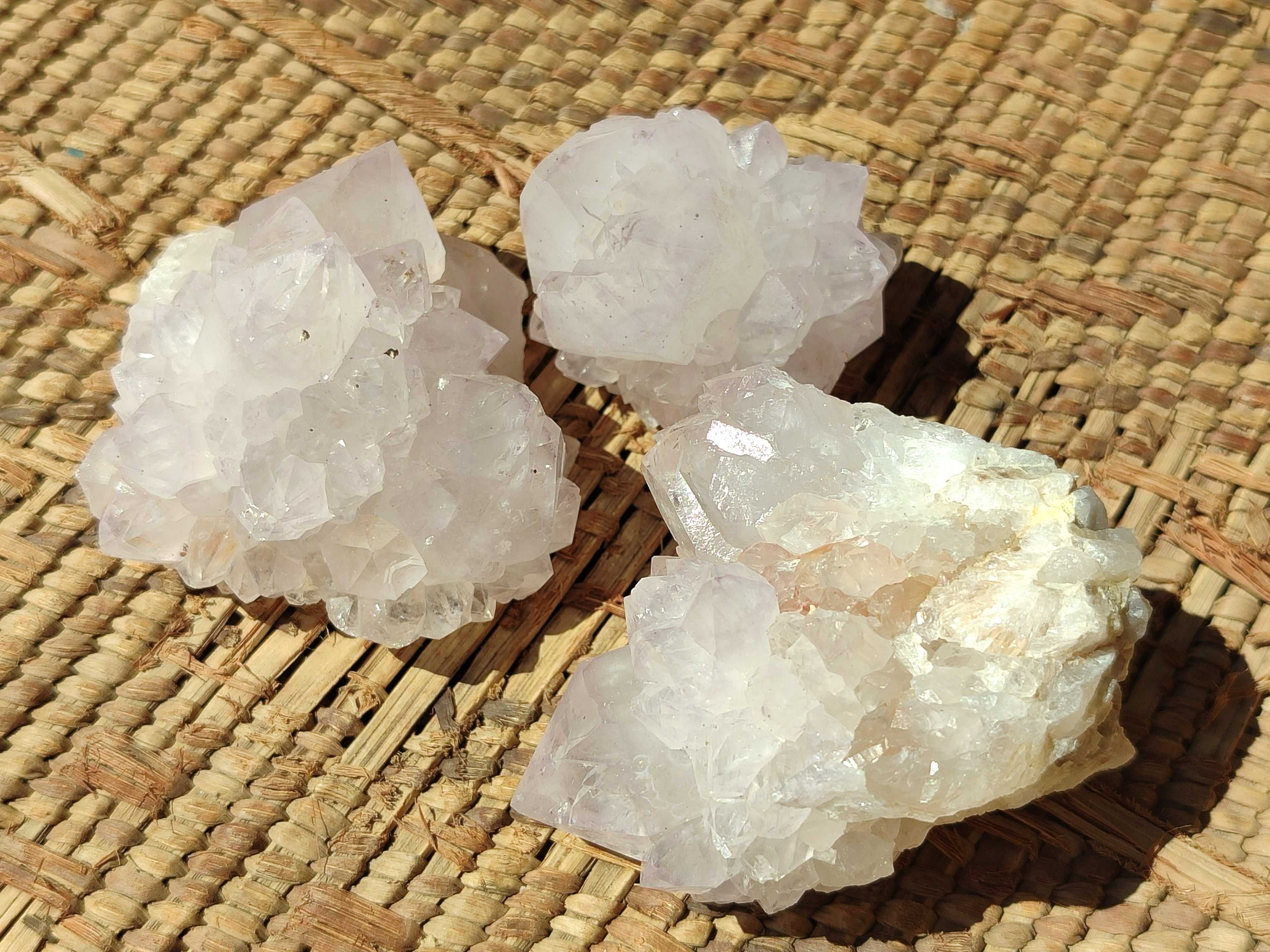 Natural Cactus Flower Spirit Quartz Clusters x 12 From Boekenhouthoek, South Africa - Toprock Gemstones and Minerals 