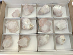 Natural Cactus Flower Spirit Quartz Clusters x 12 From Boekenhouthoek, South Africa - Toprock Gemstones and Minerals 