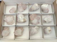 Natural Cactus Flower Spirit Quartz Clusters x 12 From Boekenhouthoek, South Africa