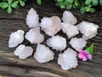 Natural Cactus Flower Spirit Quartz Clusters x 12 From Boekenhouthoek, South Africa - Toprock Gemstones and Minerals 
