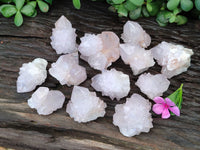 Natural Cactus Flower Spirit Quartz Clusters x 12 From Boekenhouthoek, South Africa