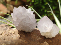Natural Cactus Flower Spirit Quartz Clusters x 12 From Boekenhouthoek, South Africa
