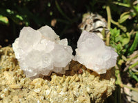 Natural Cactus Flower Spirit Quartz Clusters x 12 From Boekenhouthoek, South Africa