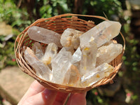 Natural Clear Quartz Crystals x 192 From Zimbabwe - Toprock Gemstones and Minerals 