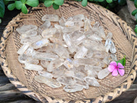 Natural Clear Quartz Crystals x 192 From Zimbabwe - Toprock Gemstones and Minerals 