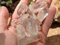Natural Clear Quartz Crystals x 192 From Zimbabwe - Toprock Gemstones and Minerals 