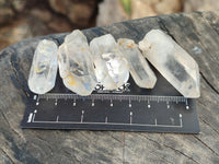 Natural Clear Quartz Crystals x 192 From Zimbabwe - Toprock Gemstones and Minerals 