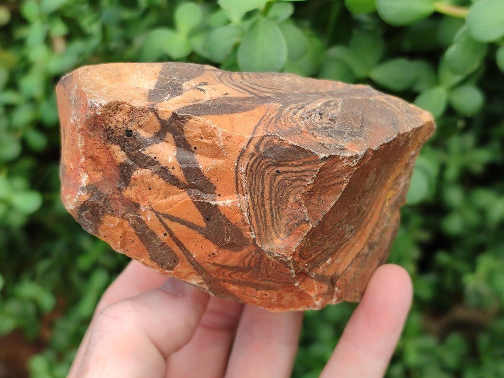 Natural Nguni Jasper Cobbed Specimens x 6 From Prieska, South Africa - Toprock Gemstones and Minerals 