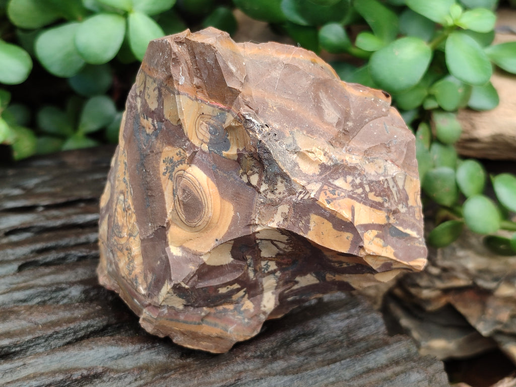 Natural Nguni Jasper Cobbed Specimens x 6 From Prieska, South Africa - Toprock Gemstones and Minerals 