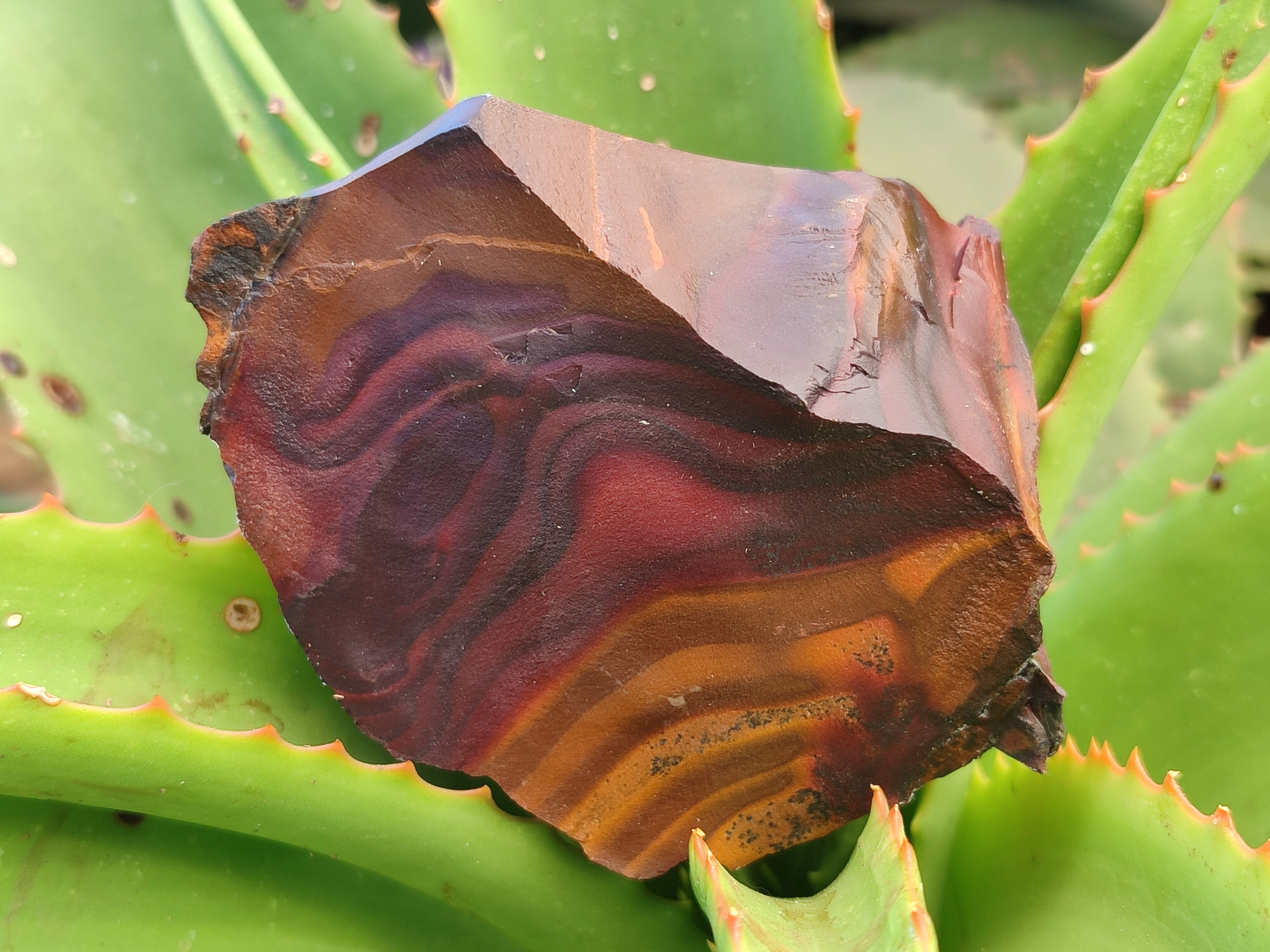 Natural Nguni Jasper Cobbed Specimens x 6 From Prieska, South Africa - Toprock Gemstones and Minerals 