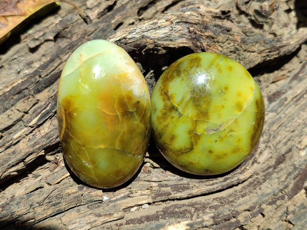 Polished Green Opal Palm Stones x 12 From Antsirabe, Madagascar - Toprock Gemstones and Minerals 
