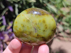 Polished Green Opal Palm Stones x 12 From Antsirabe, Madagascar - Toprock Gemstones and Minerals 