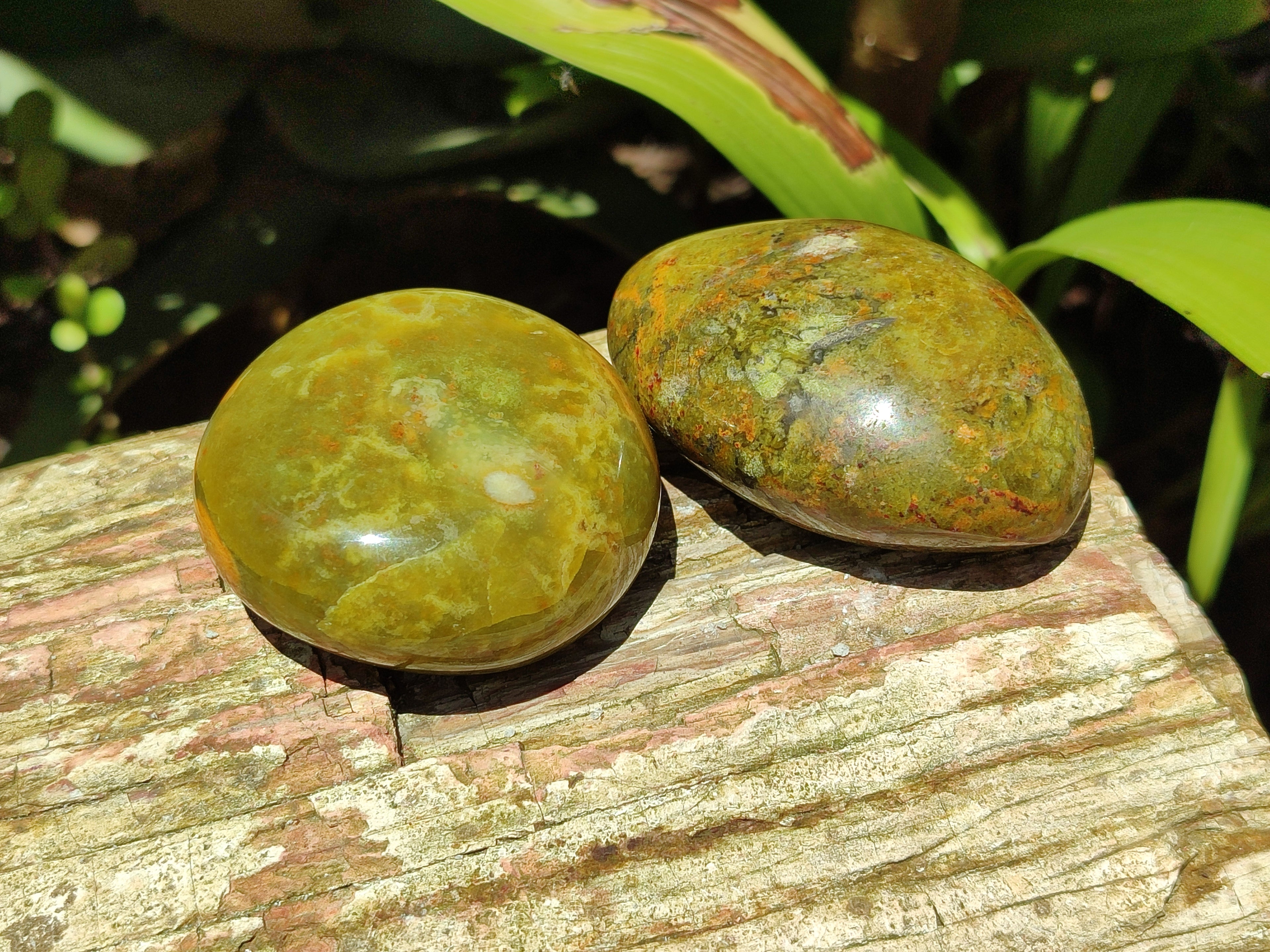 Polished Green Opal Palm Stones x 12 From Antsirabe, Madagascar - Toprock Gemstones and Minerals 