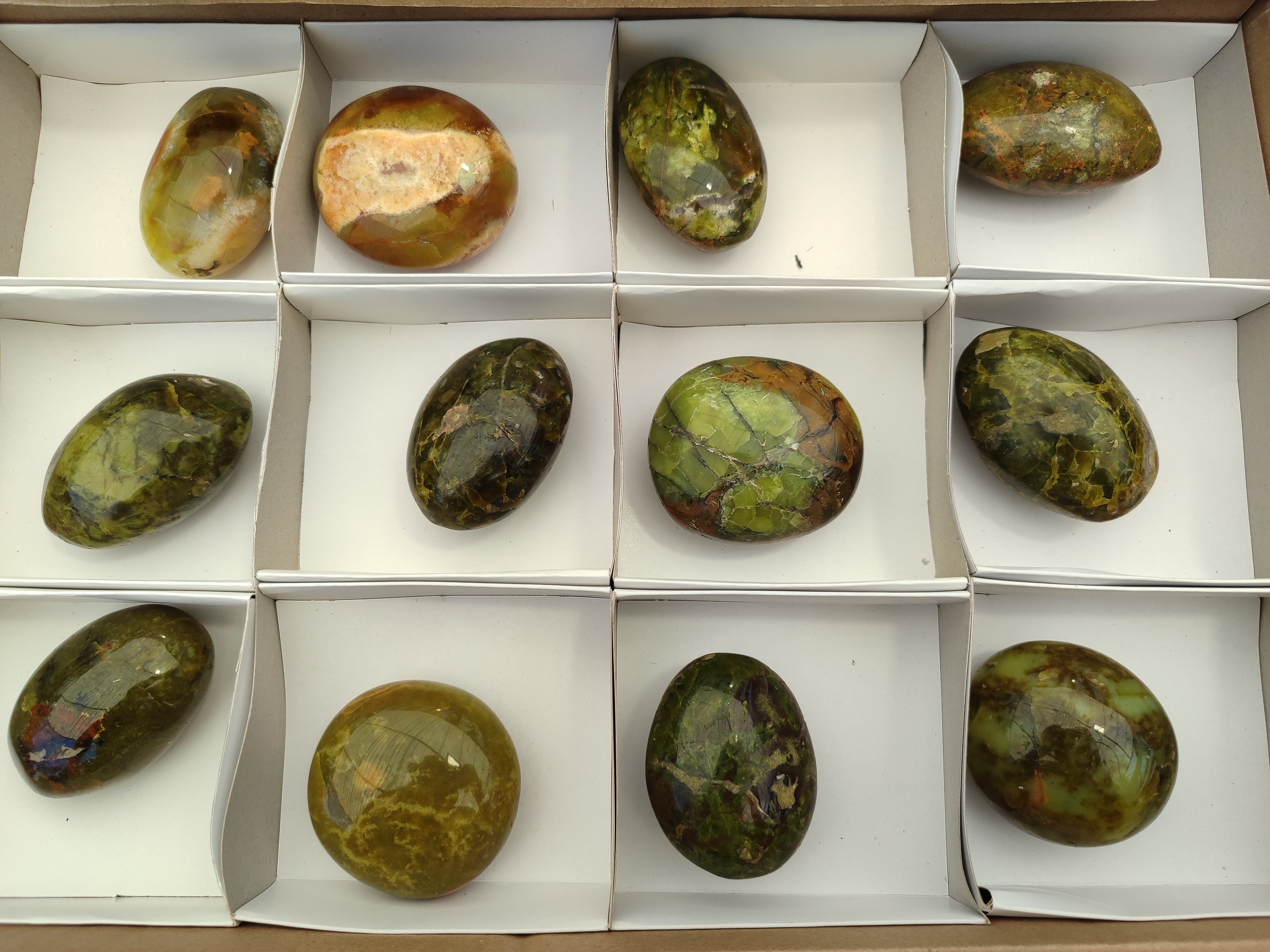 Polished Green Opal Palm Stones x 12 From Antsirabe, Madagascar - Toprock Gemstones and Minerals 