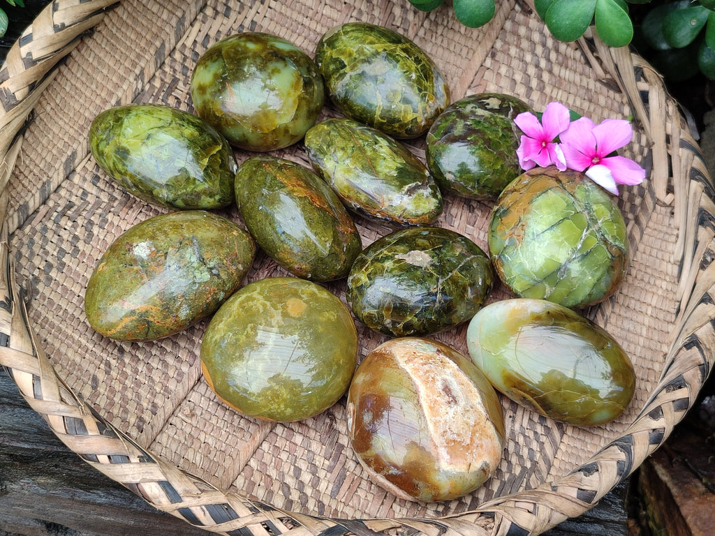 Polished Green Opal Palm Stones x 12 From Antsirabe, Madagascar - Toprock Gemstones and Minerals 
