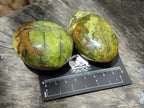 Polished Green Opal Palm Stones x 12 From Antsirabe, Madagascar - Toprock Gemstones and Minerals 