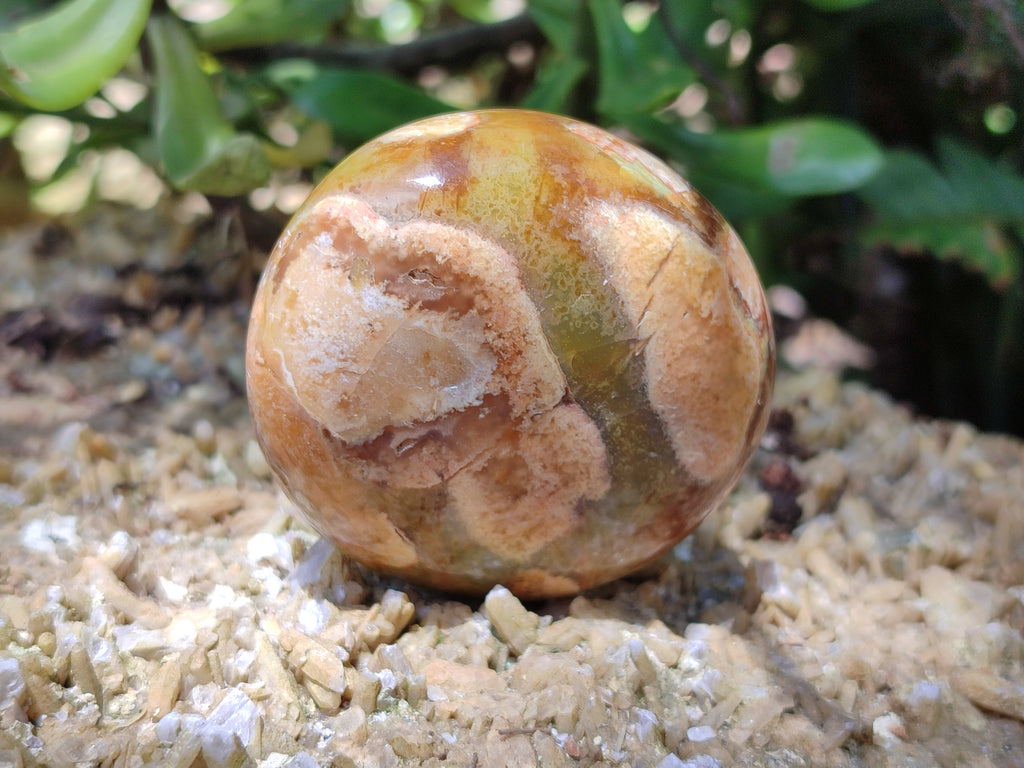 Polished Green Opal Palm Stones x 12 From Antsirabe, Madagascar - Toprock Gemstones and Minerals 