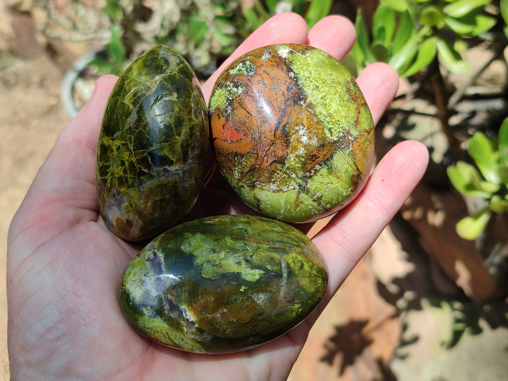 Polished Green Opal Palm Stones x 12 From Antsirabe, Madagascar - Toprock Gemstones and Minerals 
