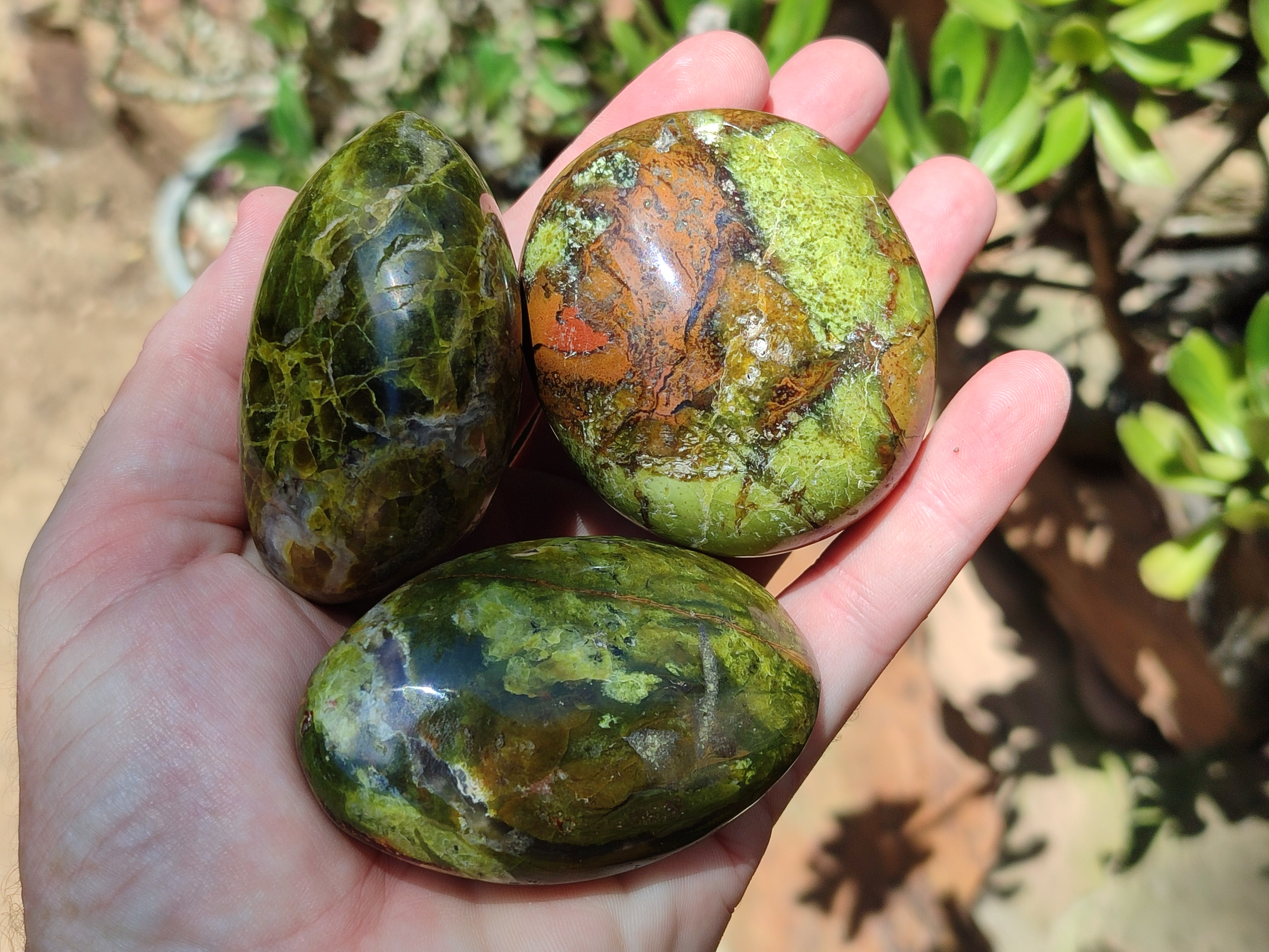 Polished Green Opal Palm Stones x 12 From Antsirabe, Madagascar - Toprock Gemstones and Minerals 