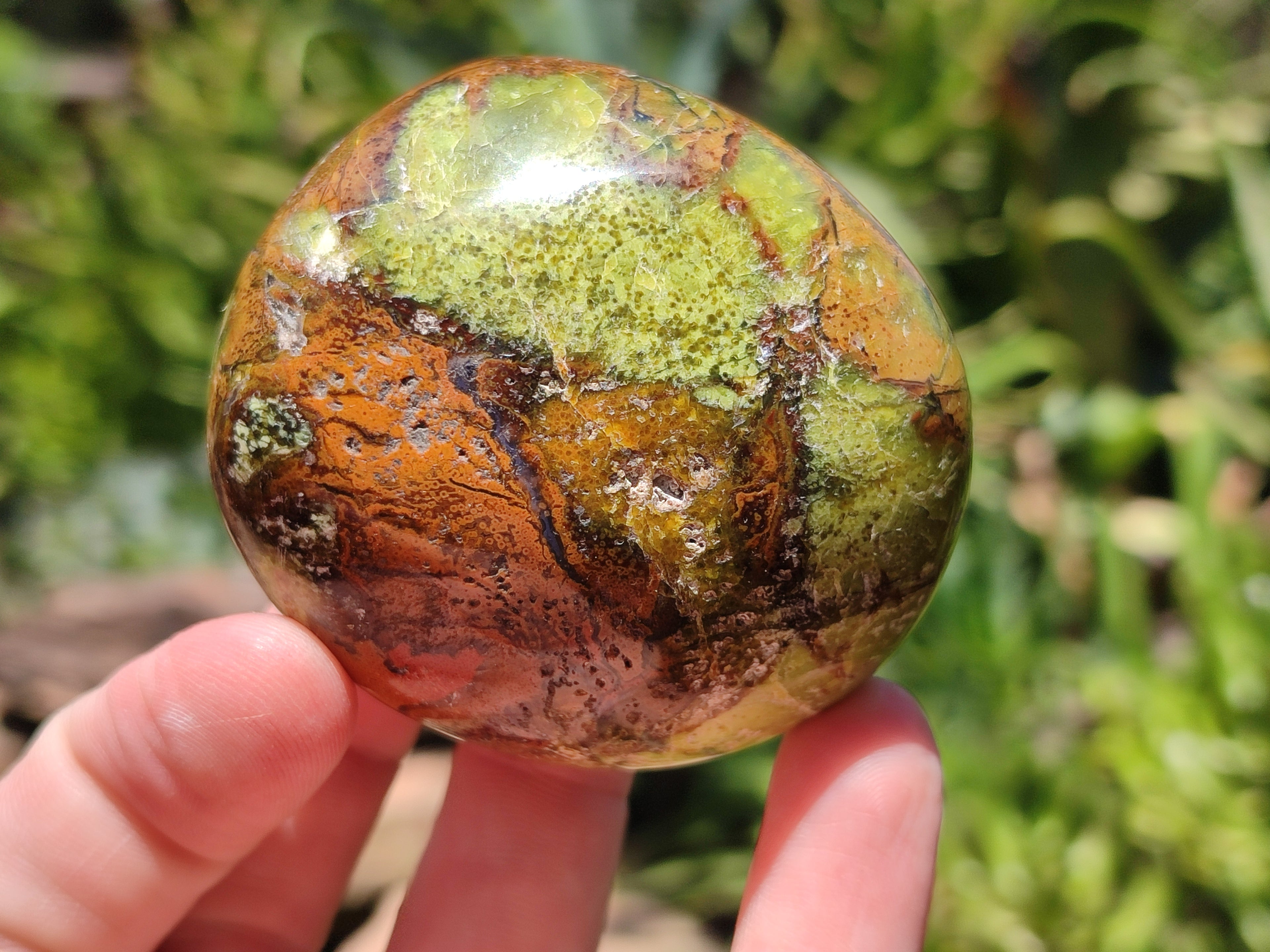 Polished Green Opal Palm Stones x 12 From Antsirabe, Madagascar - Toprock Gemstones and Minerals 