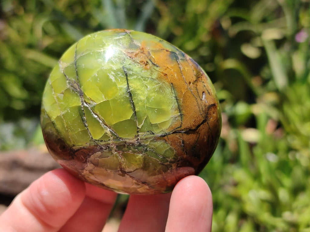 Polished Green Opal Palm Stones x 12 From Antsirabe, Madagascar - Toprock Gemstones and Minerals 