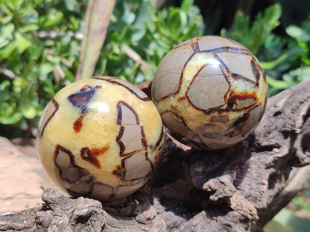 Polished Septerye Spheres x 4 From Mahajanga, Madagascar - Toprock Gemstones and Minerals 