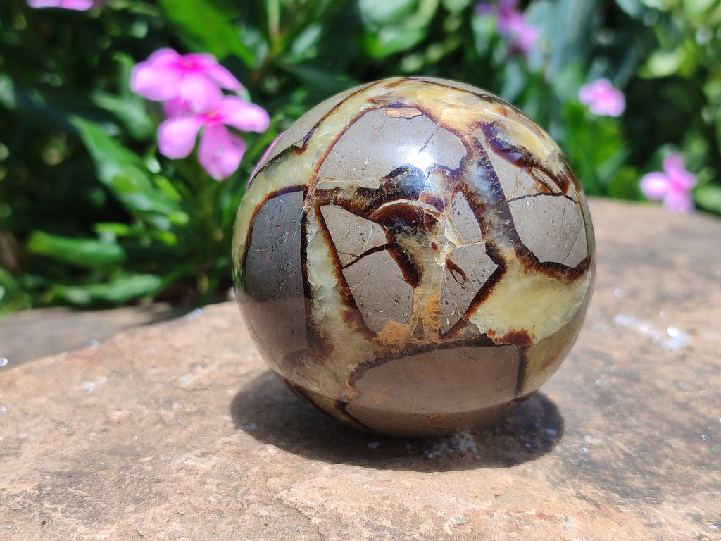 Polished Septerye Spheres x 4 From Mahajanga, Madagascar - Toprock Gemstones and Minerals 