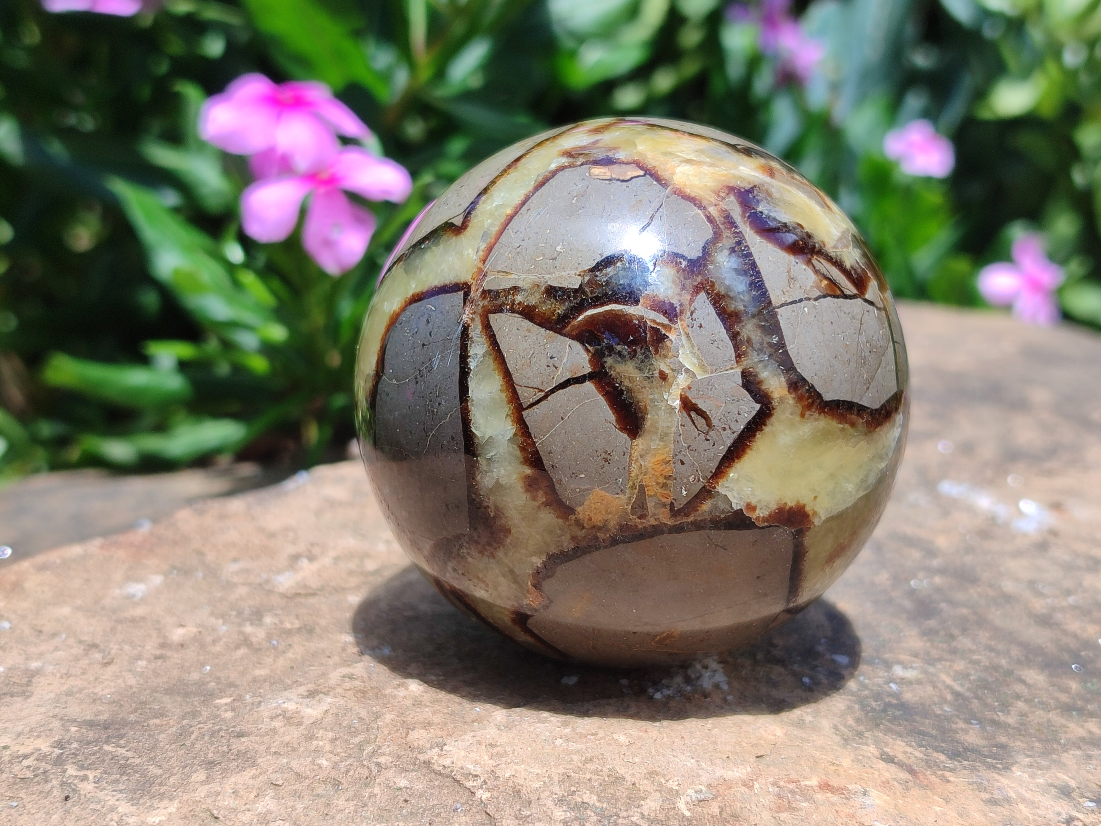 Polished Septerye Spheres x 4 From Mahajanga, Madagascar - Toprock Gemstones and Minerals 