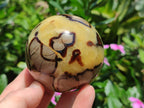 Polished Septerye Spheres x 4 From Mahajanga, Madagascar - Toprock Gemstones and Minerals 