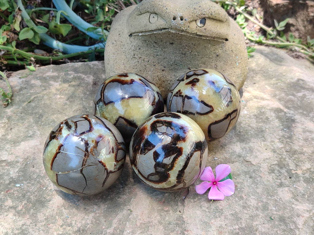 Polished Septerye Spheres x 4 From Mahajanga, Madagascar - Toprock Gemstones and Minerals 