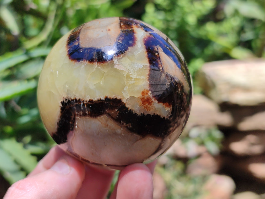 Polished Septerye Spheres x 4 From Mahajanga, Madagascar - Toprock Gemstones and Minerals 