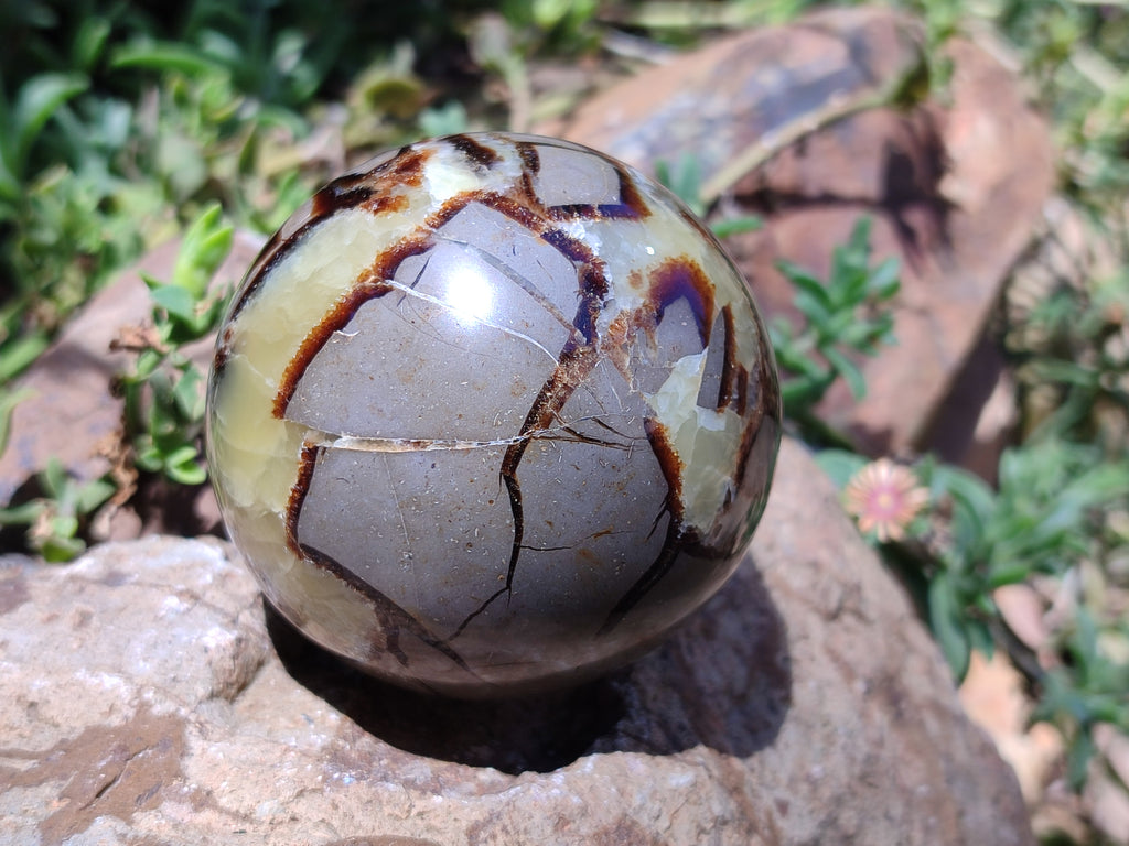Polished Septerye Spheres x 4 From Mahajanga, Madagascar - Toprock Gemstones and Minerals 